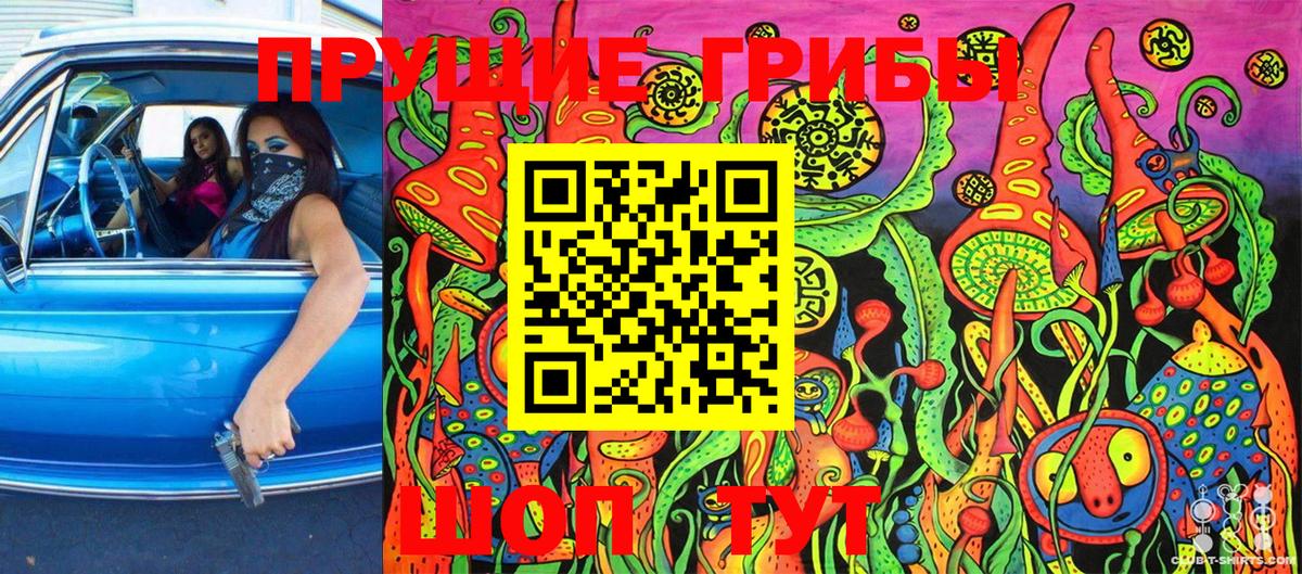 как найти закладки  Вход с VPN  Чебоксары  Псилоцибиновые грибы Magic Shrooms  Псилоцибиновые грибы мухоморы 