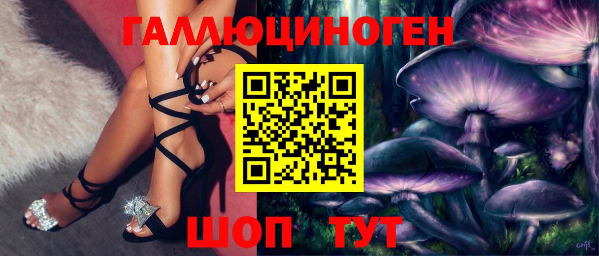 Псилоцибиновые грибы GOLDEN TEACHER Чебоксары